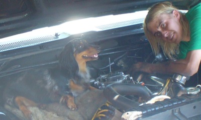Fido the mechanic - I saw these people and Fido working on a car on Mill Avenue in Downtown Tempe